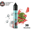 Salt Nic Nice to meet you Watermelon Gum Ice