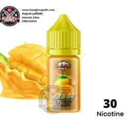 BAAM MANGO SALTNIC