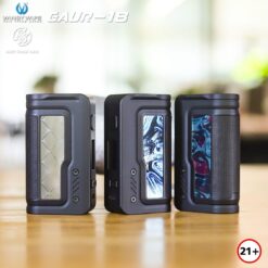 VANDY VAPE GAUR-21 BOX MOD 200W