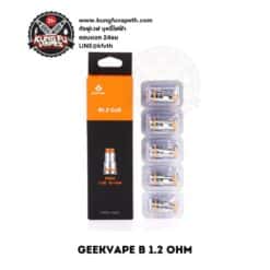COIL GEEKVAPE B 1.2 OHM