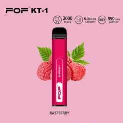 FOF KT-1 DISPOSABLE VAPE 2000PUFFS