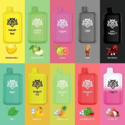 VAPLUCKY ALP DISPOSABLE VAPE 5000PUFFS