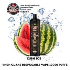 VNSN QUAKE DISPOSABLE VAPE 10000PUFFS