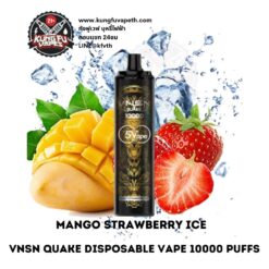 VNSN QUAKE DISPOSABLE VAPE 10000PUFFS