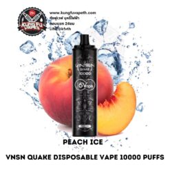 VNSN QUAKE DISPOSABLE VAPE 10000PUFFS