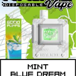 Walkie Vape 6000 Puffs Mint Blue Dream