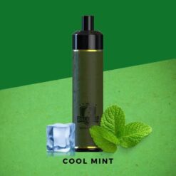 Ballers Leather 5000 Puffs Cool Mint