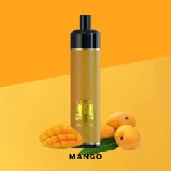 Ballers Leather 5000 Puffs Mango
