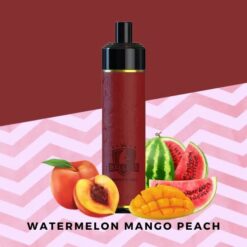 Ballers Leather 5000 Puffs Watermelon Mango Peach
