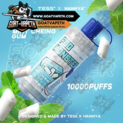Mint Cheing Gum