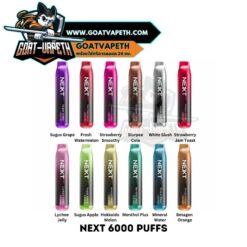 NEXT 6000 Puffs