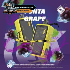 VMC 12000 Puffs Funta Grape