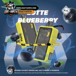 VMC 12000 Puffs Lotte Blueberry
