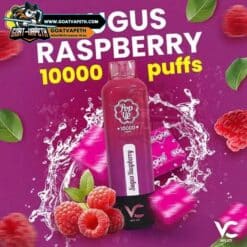 POP UP 10000 PUFFS