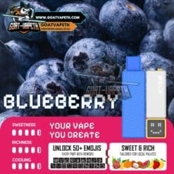 RELX CREATOR 18000คำ Blueberry