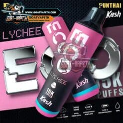 Punthai Kash Eco 15000คำ Lychee