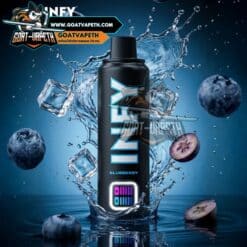 INFY 20000คำ Blueberry