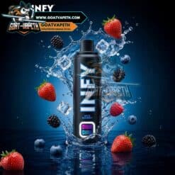 INFY 20000คำ Mixberry