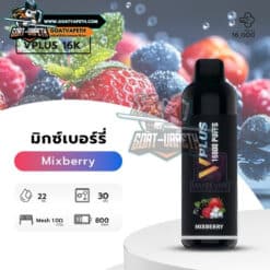 V PLUS 16K Mixberry